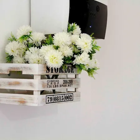 Casa Fabiana Appartement